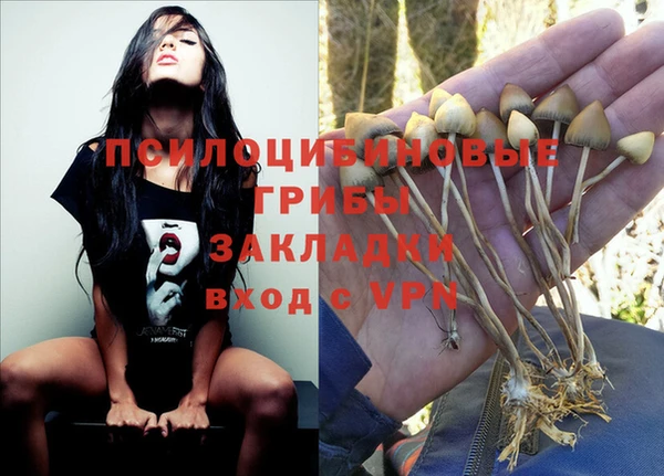 мет Абинск