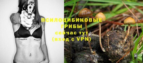 твердый Абдулино