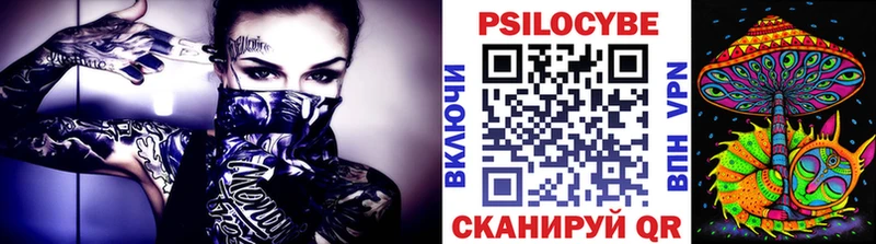 Галлюциногенные грибы Psilocybine cubensis  Канаш 